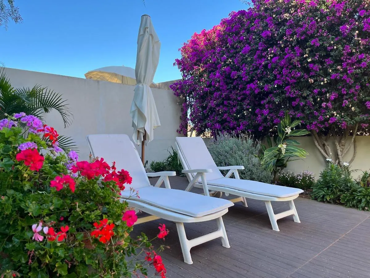 Appartamento Dream Garden Santa Cruz de Tenerife
