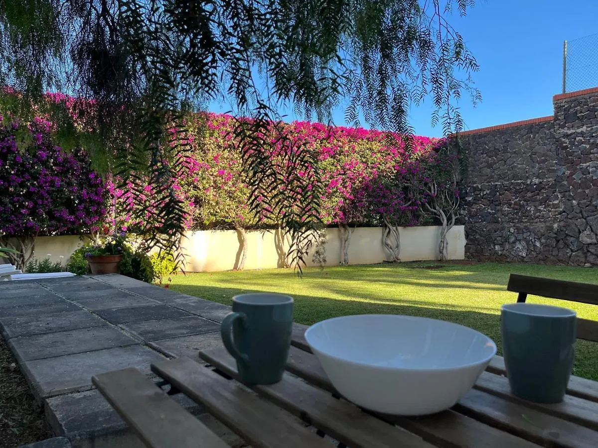 Appartamento Dream Garden Santa Cruz de Tenerife Spagna
